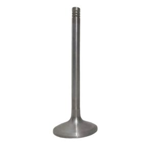 Válvula Admision para VOLVO N° 20758481, 04283708, 04290024